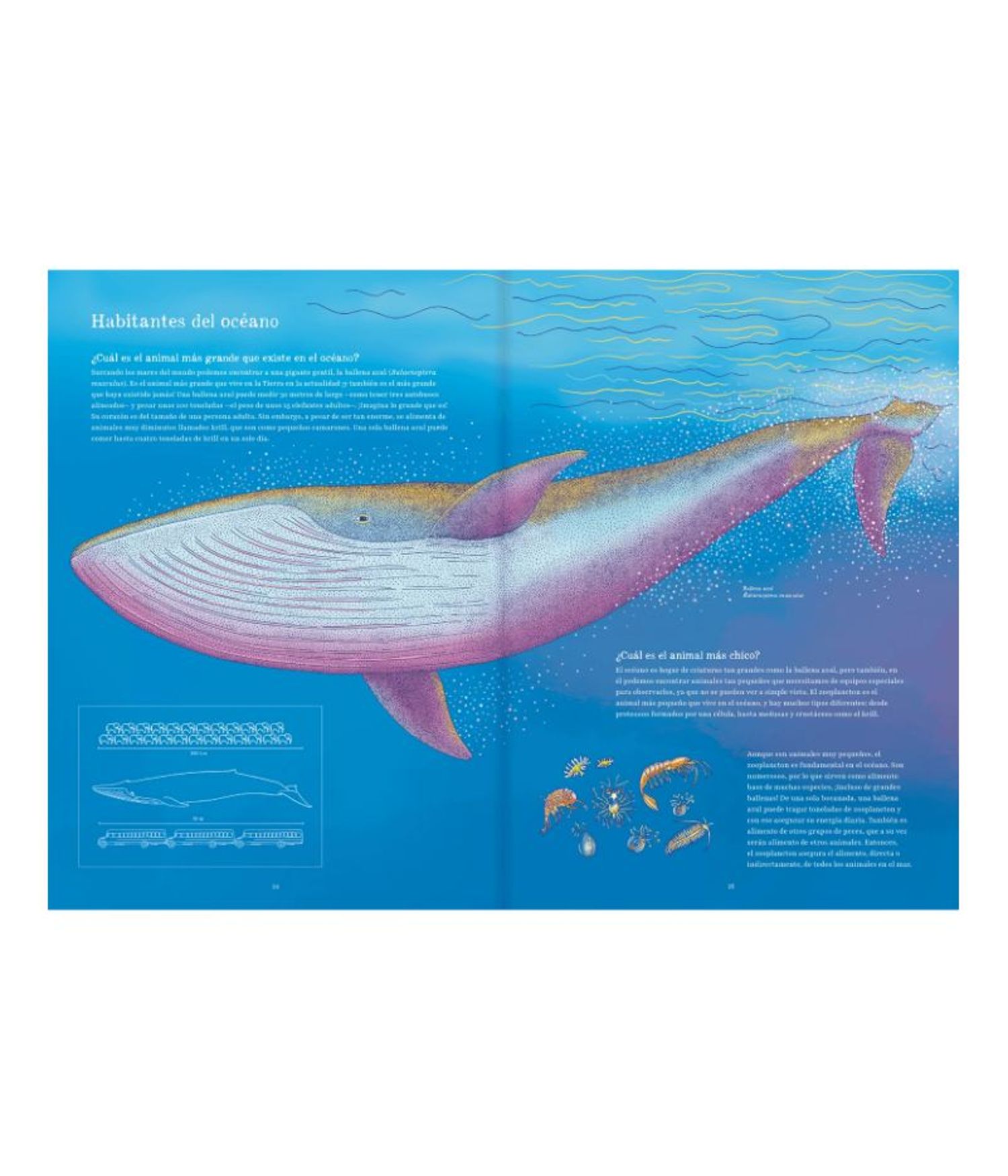 Libro para Preadolescentes - Oceánica - Imagen 3