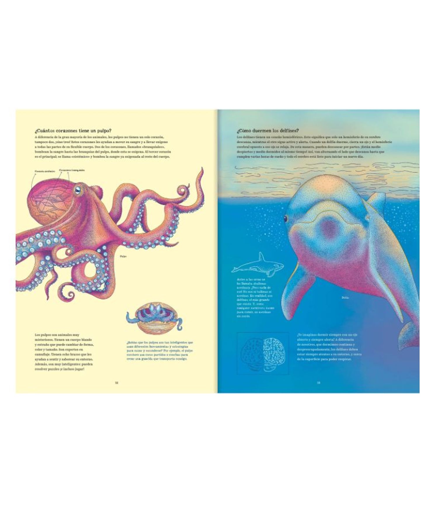 Libro para Preadolescentes - Oceánica - Imagen 4