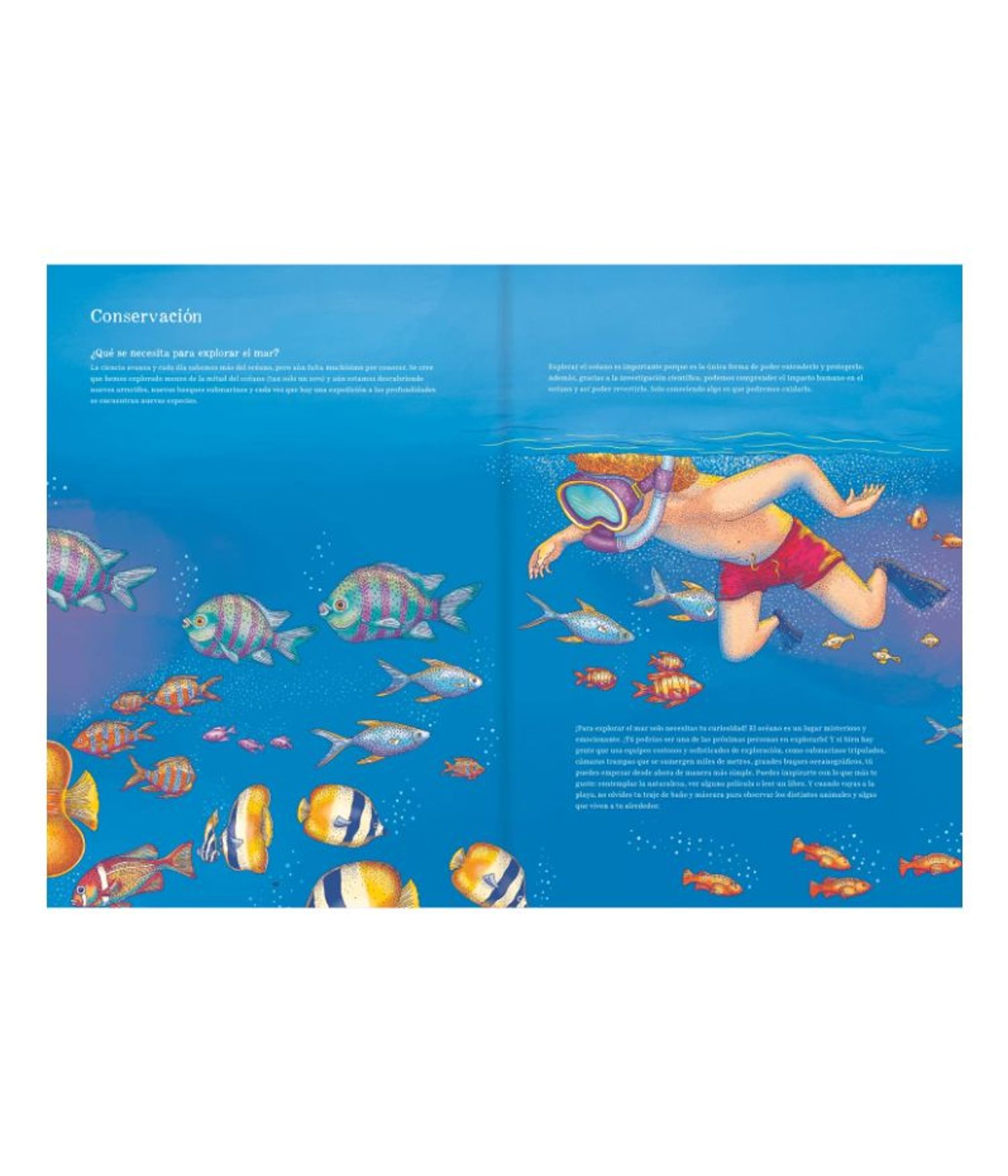 Libro para Preadolescentes - Oceánica