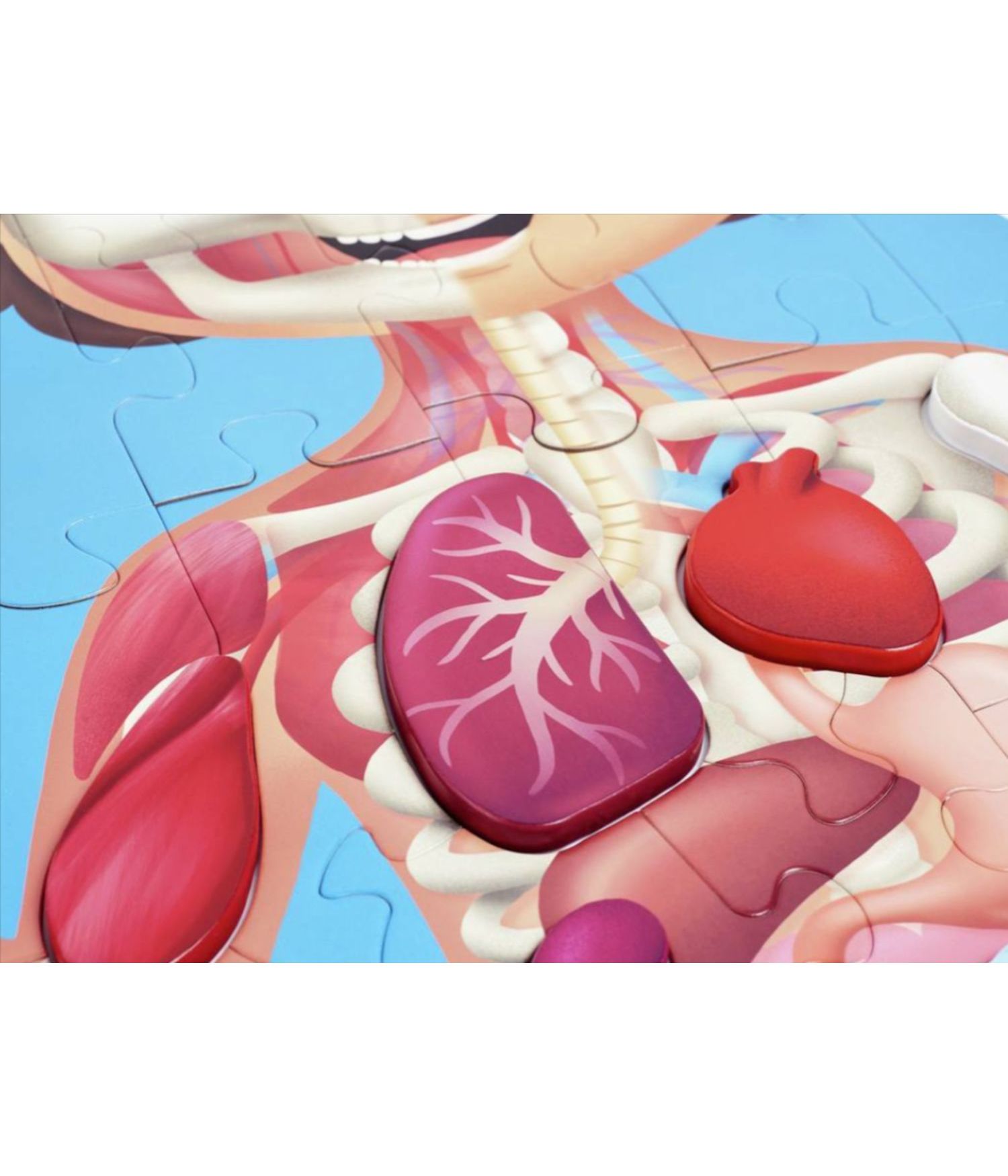 Rompecabezas - Arma y Conoce el Cuerpo Humano - Imagen 5